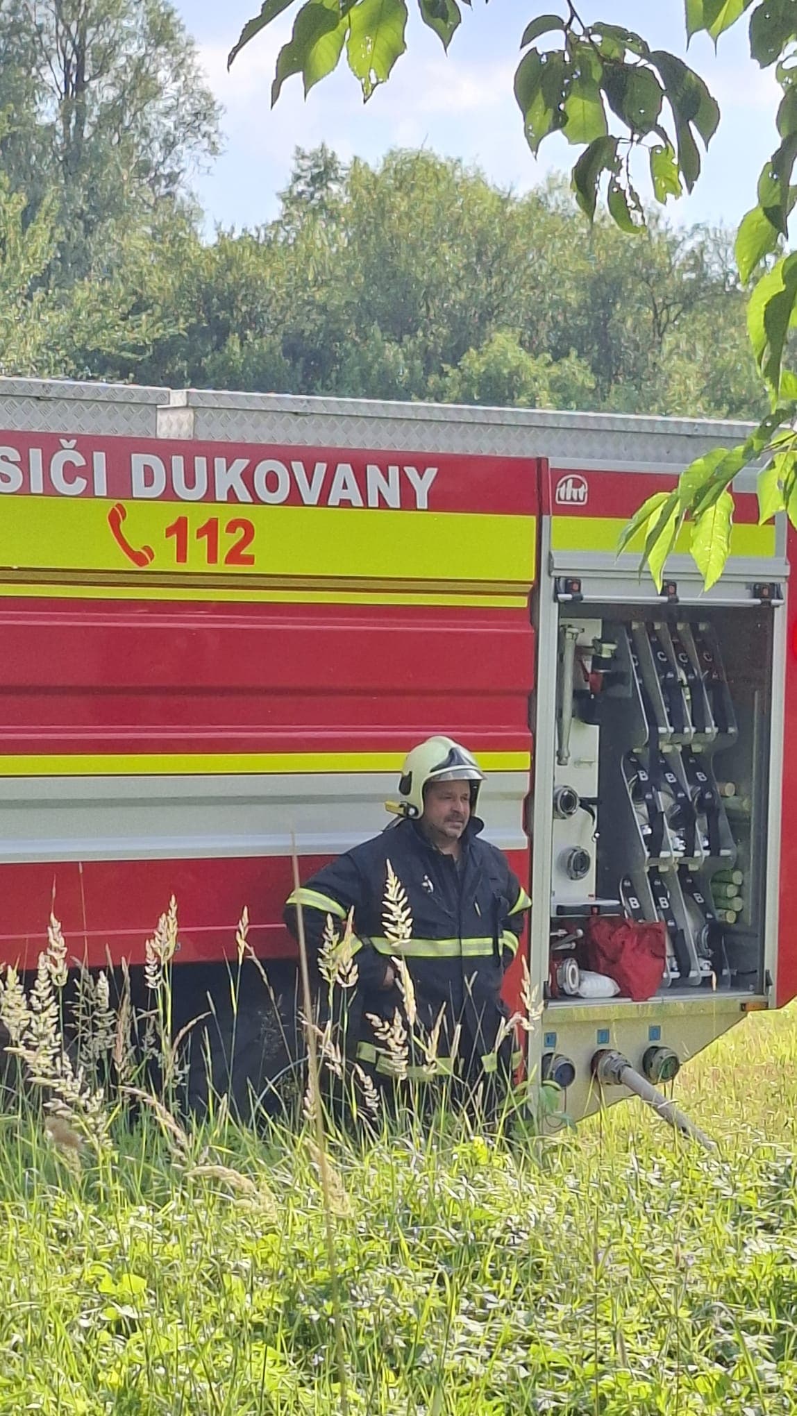 Doutnající strom Loučky 3